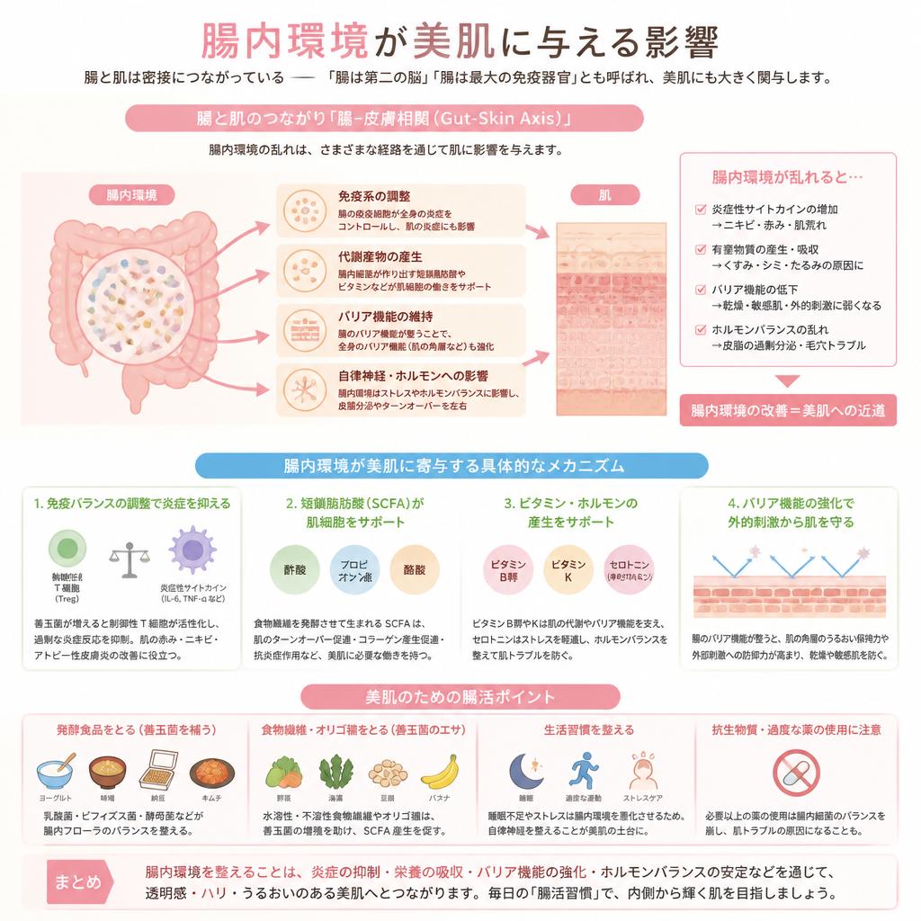 美肌を育む腸活の秘密